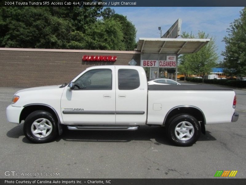 Natural White / Light Charcoal 2004 Toyota Tundra SR5 Access Cab 4x4
