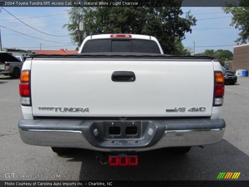 Natural White / Light Charcoal 2004 Toyota Tundra SR5 Access Cab 4x4