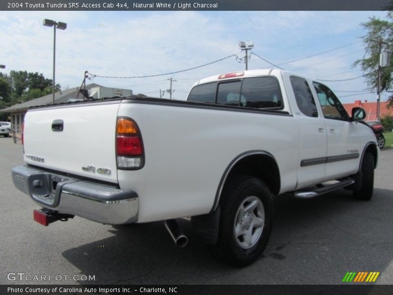 Natural White / Light Charcoal 2004 Toyota Tundra SR5 Access Cab 4x4