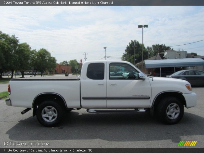Natural White / Light Charcoal 2004 Toyota Tundra SR5 Access Cab 4x4
