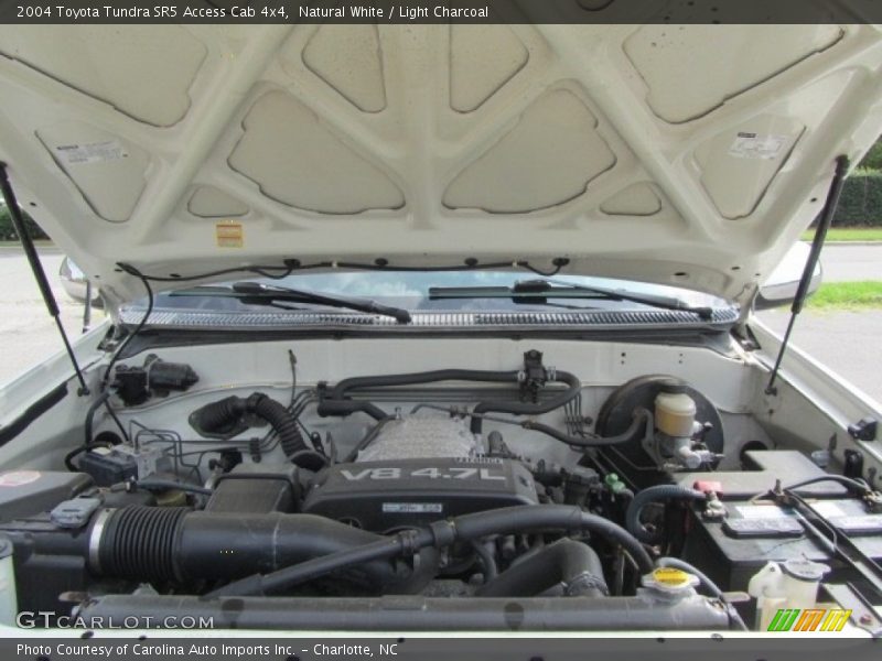 Natural White / Light Charcoal 2004 Toyota Tundra SR5 Access Cab 4x4