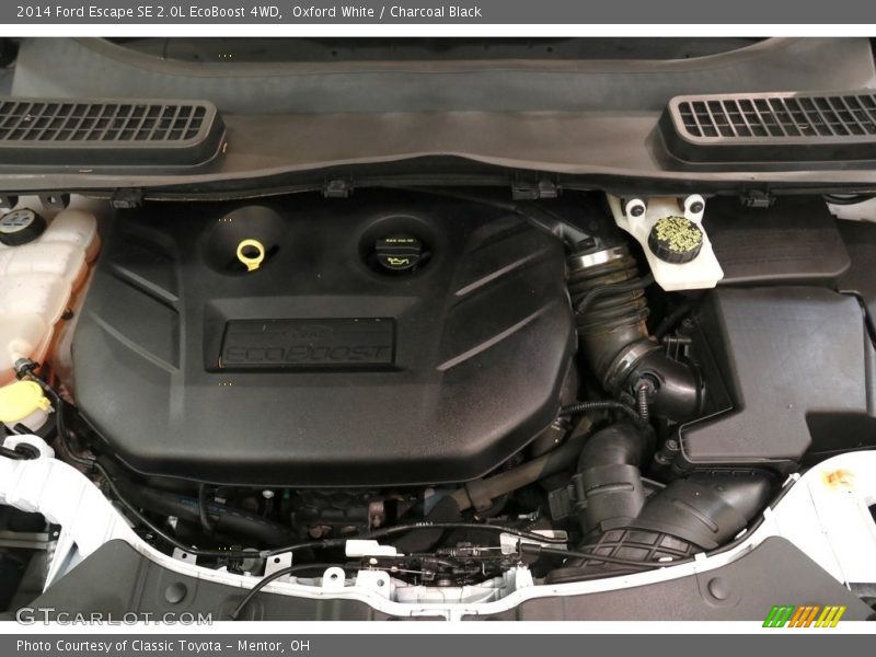 Oxford White / Charcoal Black 2014 Ford Escape SE 2.0L EcoBoost 4WD