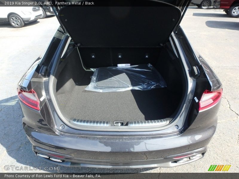 Panthera Metal / Black 2019 Kia Stinger 2.0L AWD