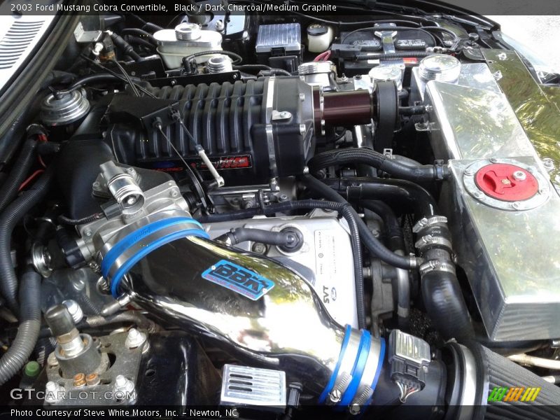 Black / Dark Charcoal/Medium Graphite 2003 Ford Mustang Cobra Convertible