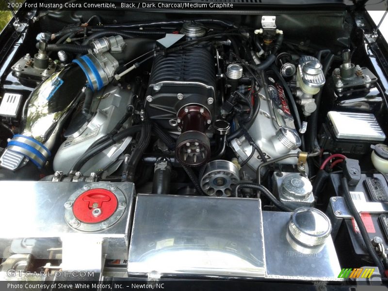 Black / Dark Charcoal/Medium Graphite 2003 Ford Mustang Cobra Convertible