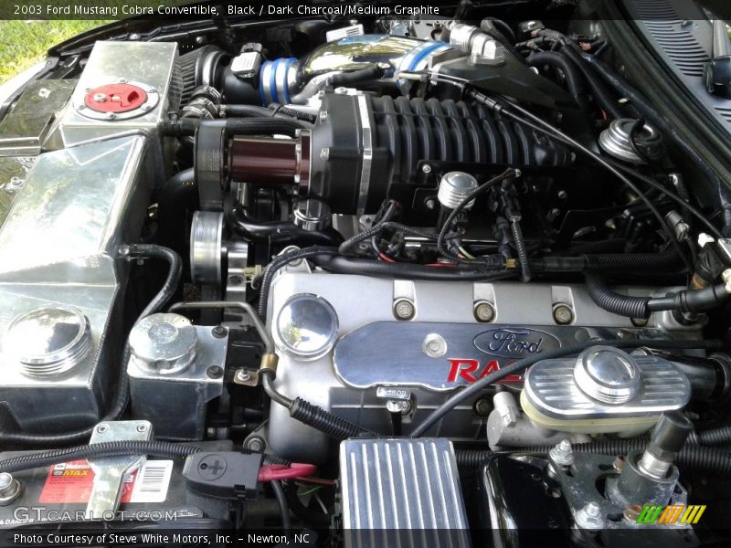 Black / Dark Charcoal/Medium Graphite 2003 Ford Mustang Cobra Convertible