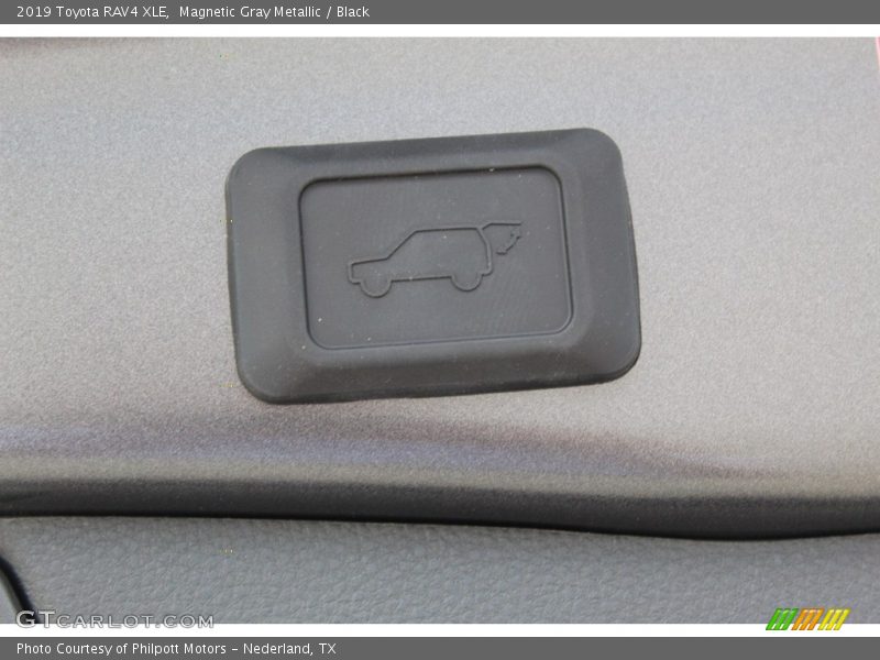 Magnetic Gray Metallic / Black 2019 Toyota RAV4 XLE
