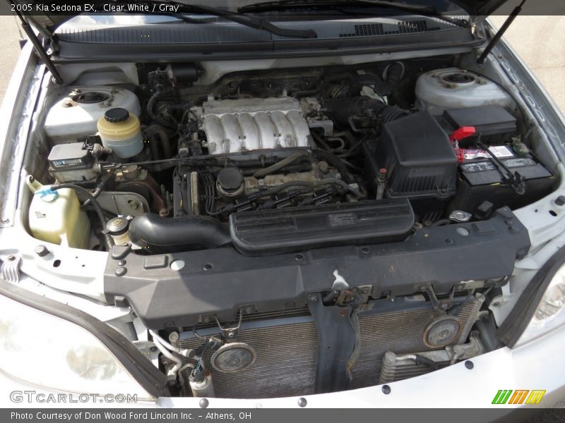 Clear White / Gray 2005 Kia Sedona EX