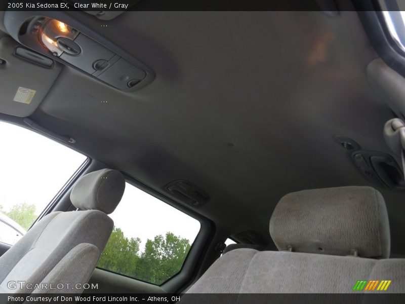 Clear White / Gray 2005 Kia Sedona EX