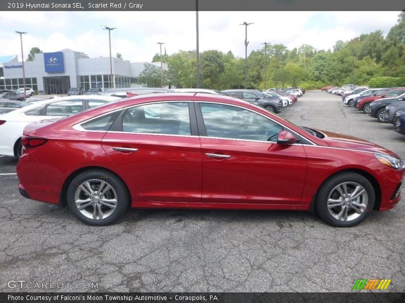 Scarlet Red / Gray 2019 Hyundai Sonata SEL