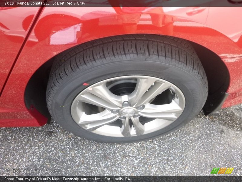 Scarlet Red / Gray 2019 Hyundai Sonata SEL