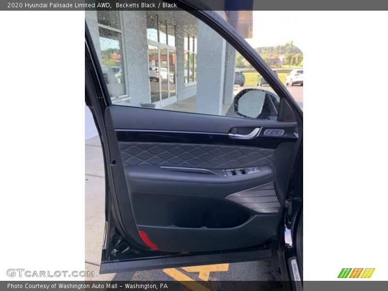 Door Panel of 2020 Palisade Limited AWD