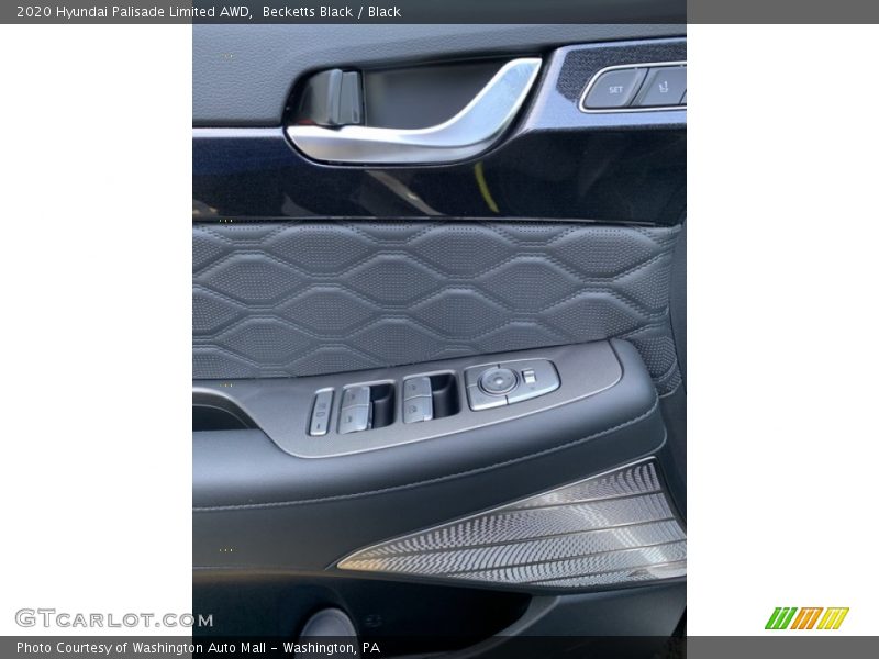 Door Panel of 2020 Palisade Limited AWD