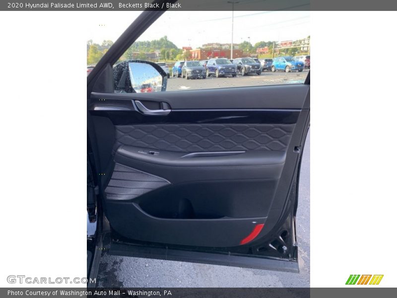 Door Panel of 2020 Palisade Limited AWD