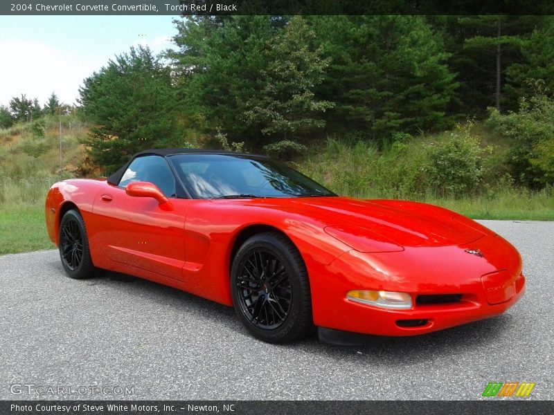 Torch Red / Black 2004 Chevrolet Corvette Convertible