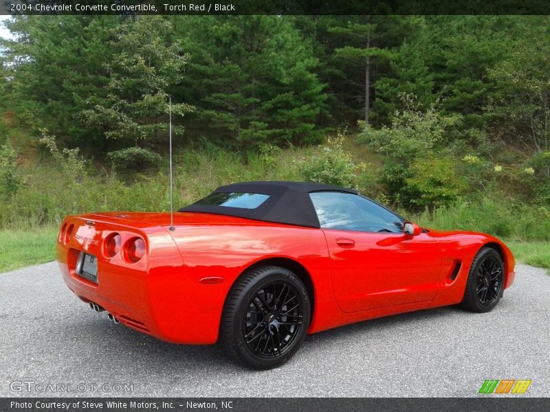 Torch Red / Black 2004 Chevrolet Corvette Convertible