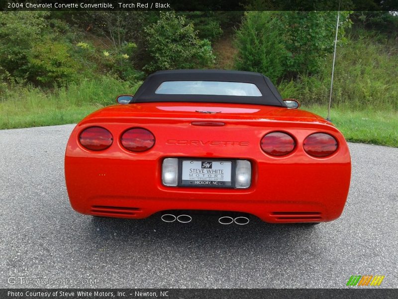Torch Red / Black 2004 Chevrolet Corvette Convertible