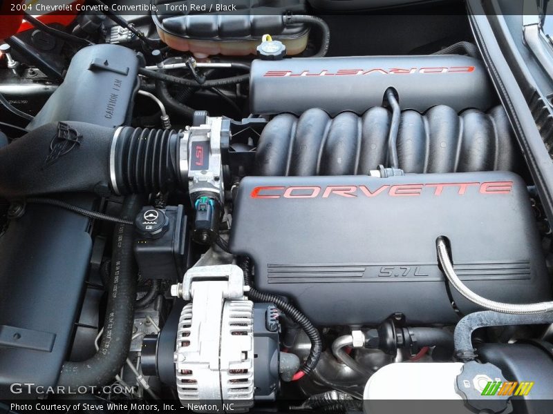Torch Red / Black 2004 Chevrolet Corvette Convertible