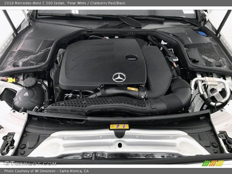 Polar White / Cranberry Red/Black 2019 Mercedes-Benz C 300 Sedan