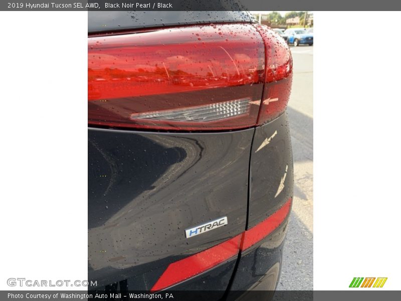 Black Noir Pearl / Black 2019 Hyundai Tucson SEL AWD