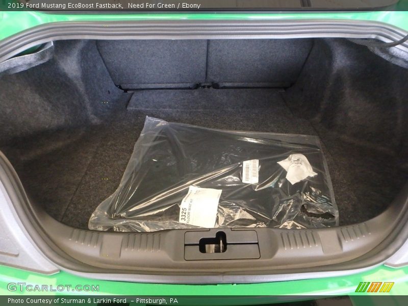  2019 Mustang EcoBoost Fastback Trunk