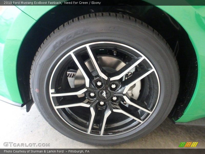 Need For Green / Ebony 2019 Ford Mustang EcoBoost Fastback