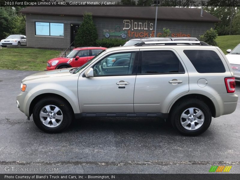 Gold Leaf Metallic / Camel 2010 Ford Escape Limited V6 4WD