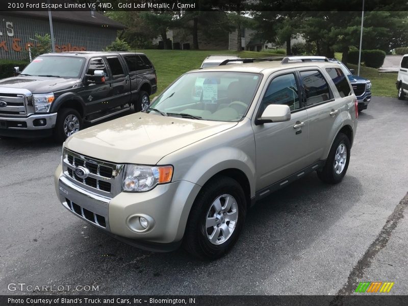 Gold Leaf Metallic / Camel 2010 Ford Escape Limited V6 4WD