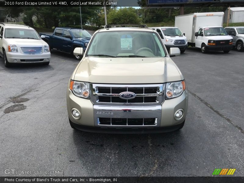 Gold Leaf Metallic / Camel 2010 Ford Escape Limited V6 4WD