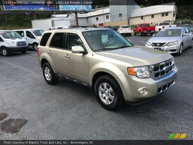 Gold Leaf Metallic / Camel 2010 Ford Escape Limited V6 4WD