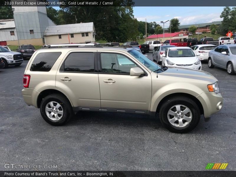 Gold Leaf Metallic / Camel 2010 Ford Escape Limited V6 4WD