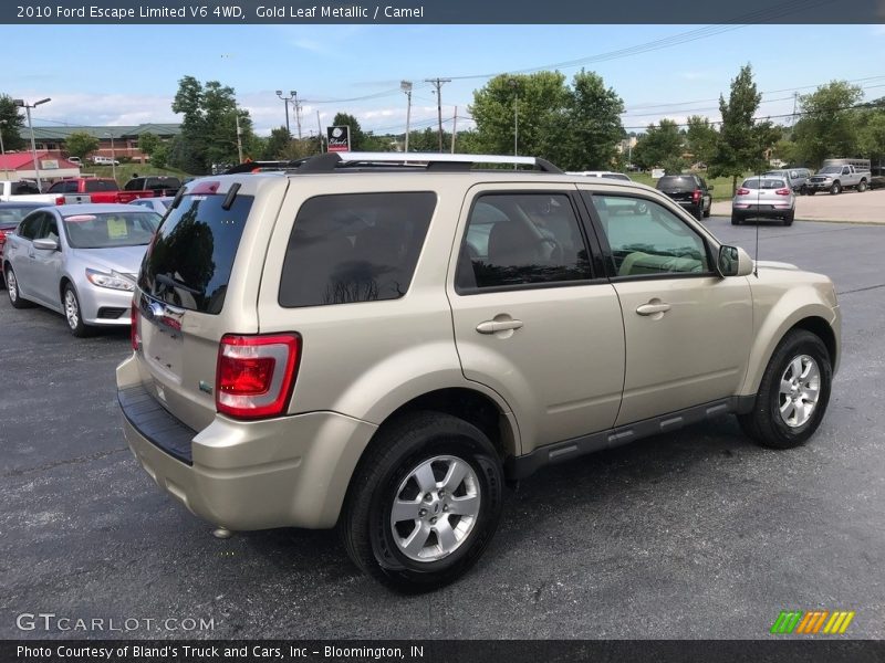 Gold Leaf Metallic / Camel 2010 Ford Escape Limited V6 4WD