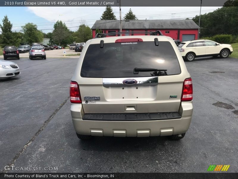 Gold Leaf Metallic / Camel 2010 Ford Escape Limited V6 4WD