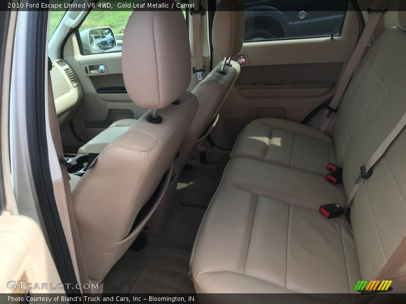 Gold Leaf Metallic / Camel 2010 Ford Escape Limited V6 4WD