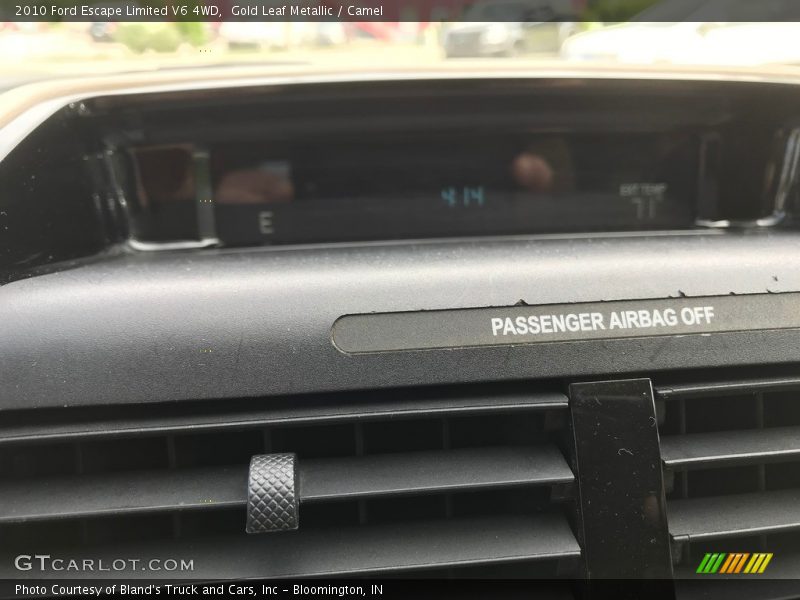 Gold Leaf Metallic / Camel 2010 Ford Escape Limited V6 4WD