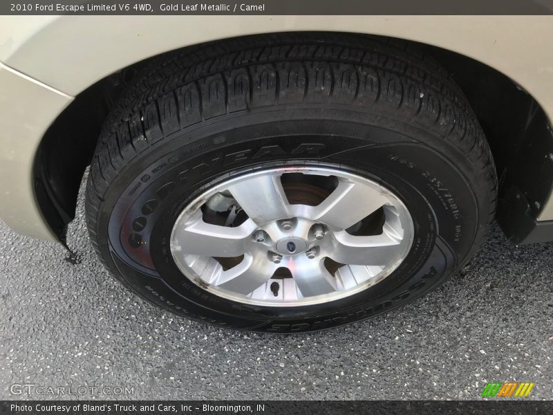 Gold Leaf Metallic / Camel 2010 Ford Escape Limited V6 4WD