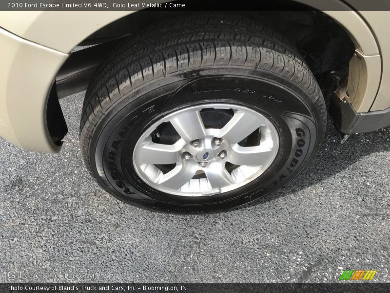 Gold Leaf Metallic / Camel 2010 Ford Escape Limited V6 4WD