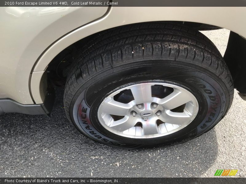 Gold Leaf Metallic / Camel 2010 Ford Escape Limited V6 4WD