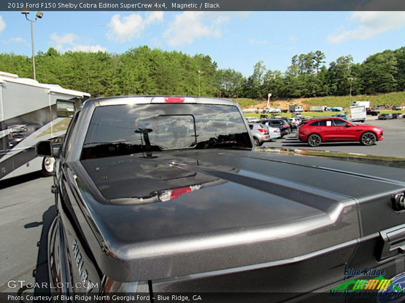 Magnetic / Black 2019 Ford F150 Shelby Cobra Edition SuperCrew 4x4