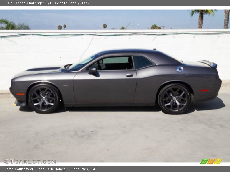 Granite Pearl / Black 2019 Dodge Challenger R/T