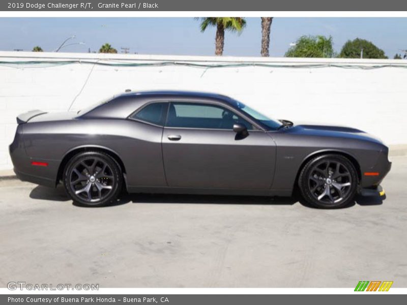 Granite Pearl / Black 2019 Dodge Challenger R/T