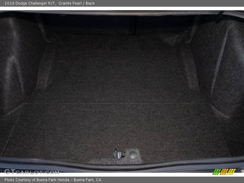 Granite Pearl / Black 2019 Dodge Challenger R/T
