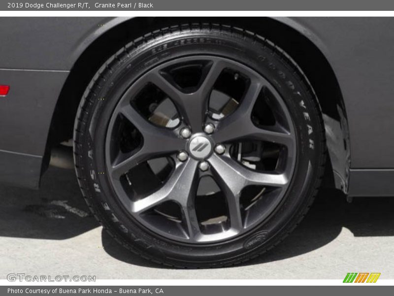 Granite Pearl / Black 2019 Dodge Challenger R/T