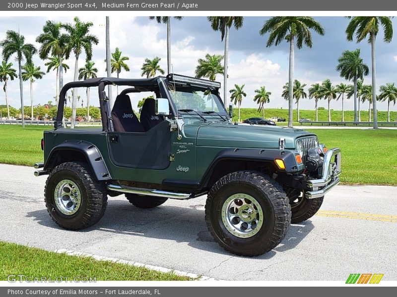 Medium Fern Green Pearl / Agate 2000 Jeep Wrangler Sport 4x4