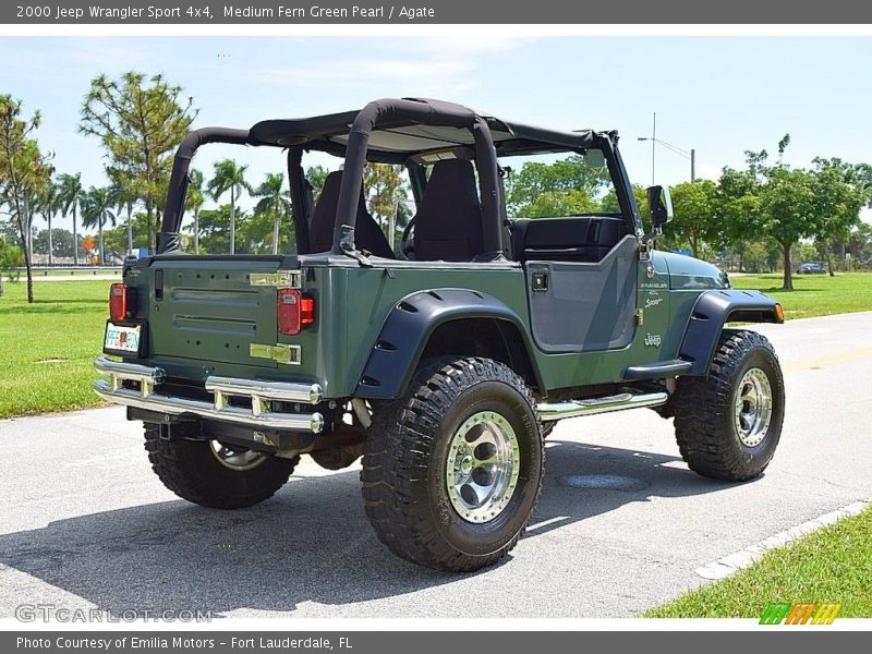 Medium Fern Green Pearl / Agate 2000 Jeep Wrangler Sport 4x4