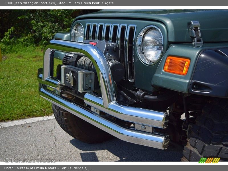 Medium Fern Green Pearl / Agate 2000 Jeep Wrangler Sport 4x4