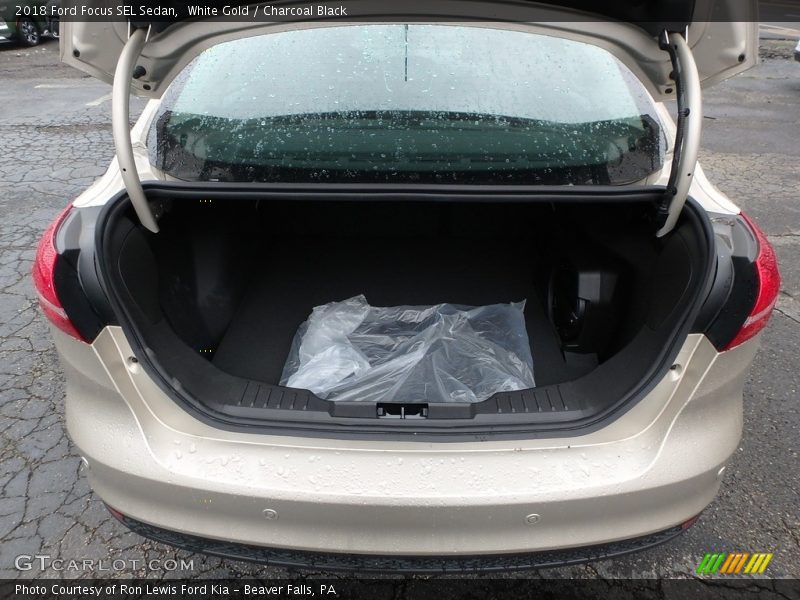 White Gold / Charcoal Black 2018 Ford Focus SEL Sedan