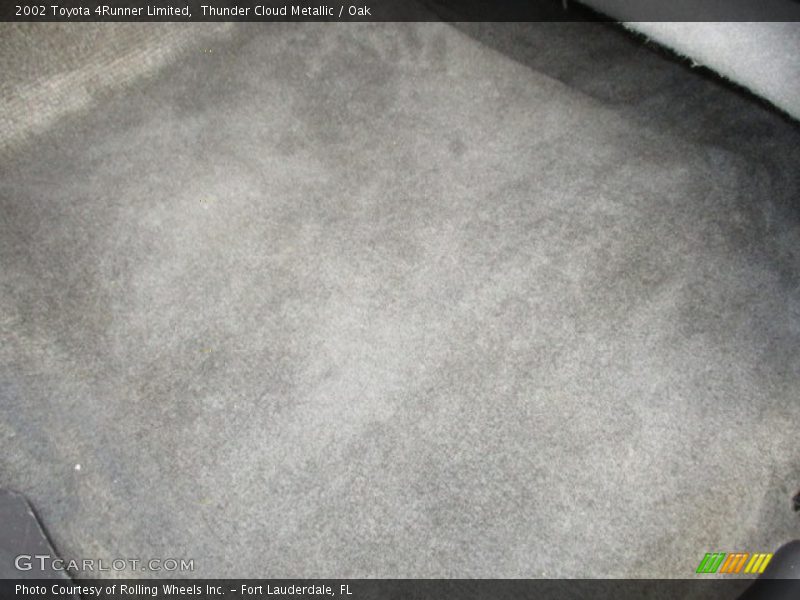 Thunder Cloud Metallic / Oak 2002 Toyota 4Runner Limited