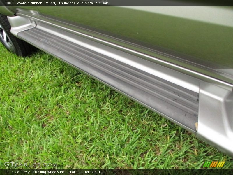 Thunder Cloud Metallic / Oak 2002 Toyota 4Runner Limited