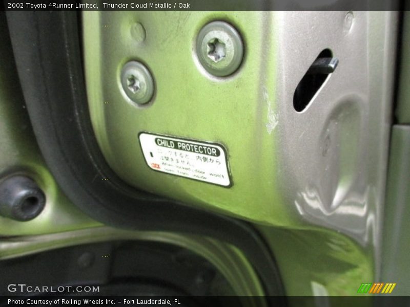 Thunder Cloud Metallic / Oak 2002 Toyota 4Runner Limited